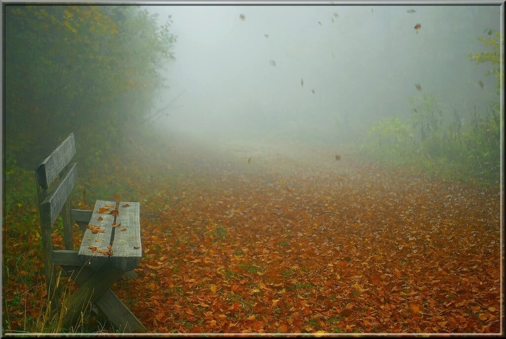 Jean-Daniel Echenard - Autumn atmosphere