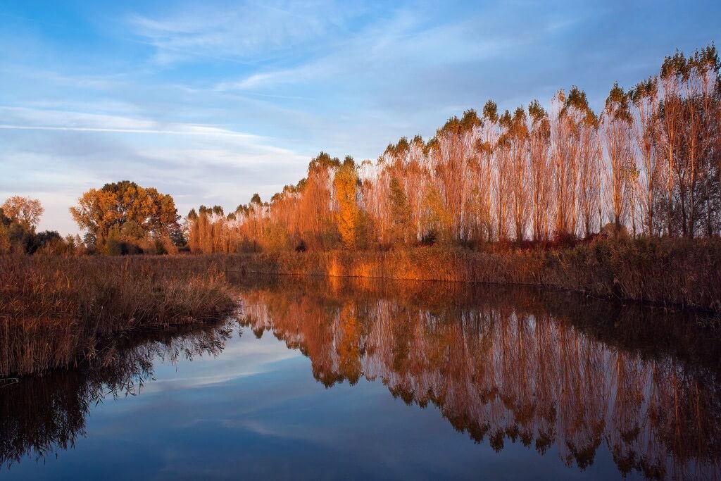 Umberto Salvagnin - Autumn colors