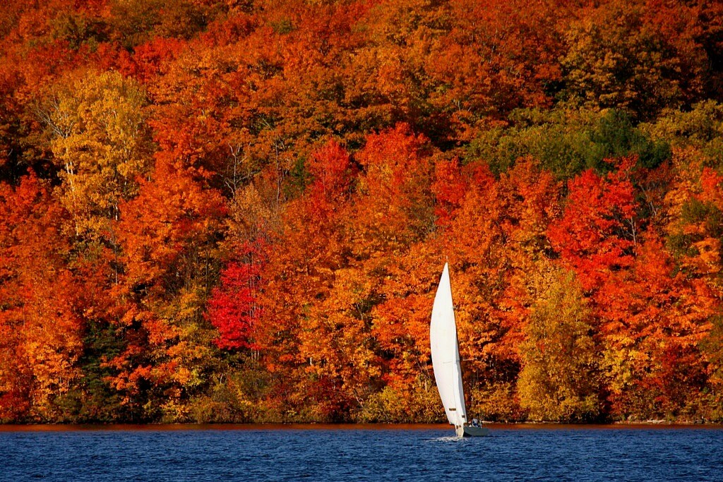 Martin Cathrae - Autumn Sailboat