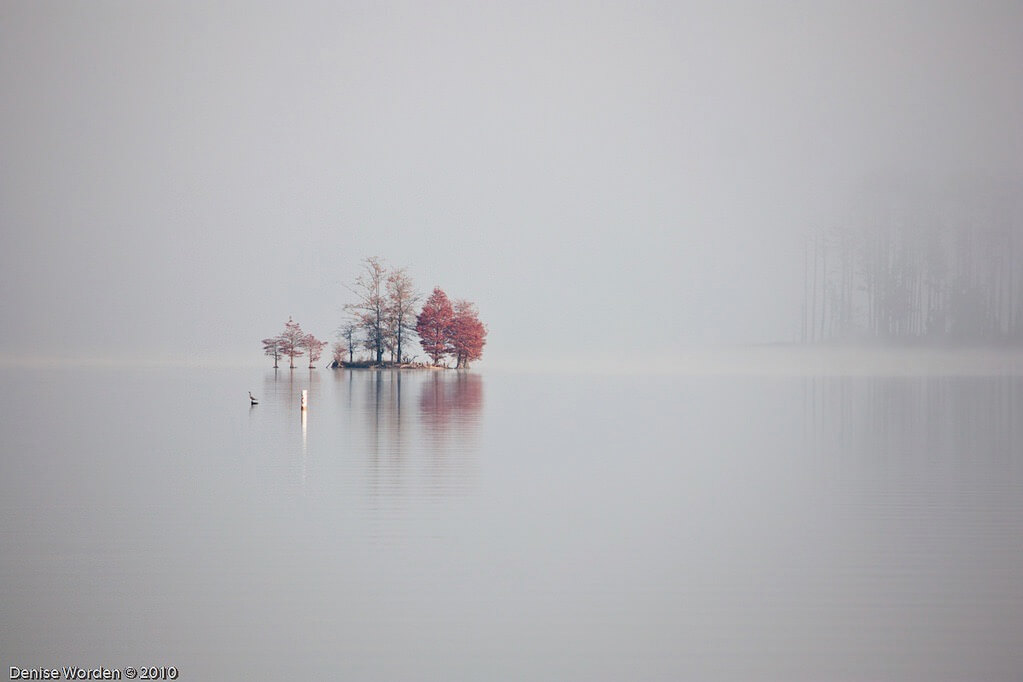 Denise Worden - Sitting In Stillness