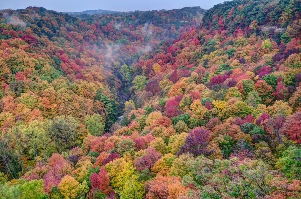 Kim Kurcz - Dundas Peak