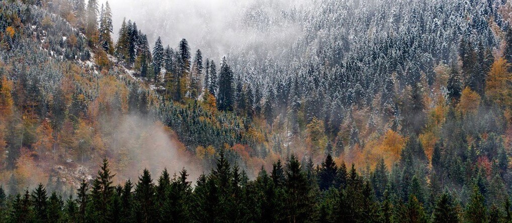 Julio López Saguar - Alps in autumn