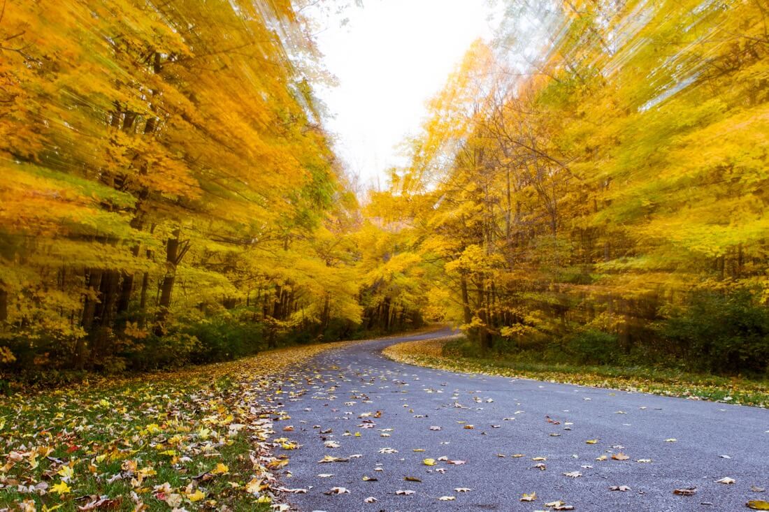 Troy Marcy Photography - The Passing of a Season