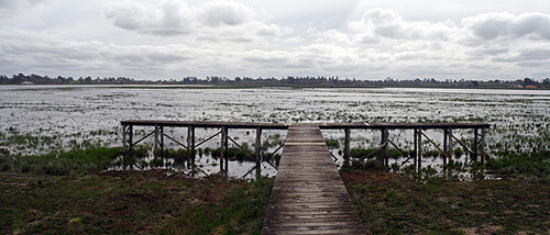 Panoramic Photography