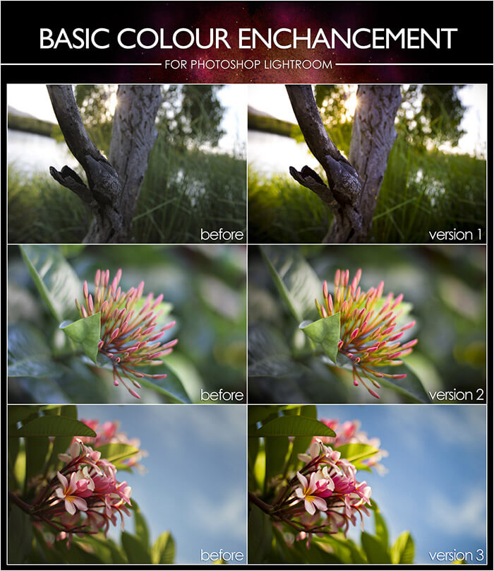 Basic Color Enhancement Lightroom Presets