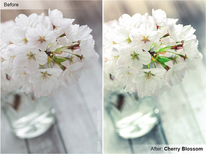 Cherry Blossom Lightroom Preset