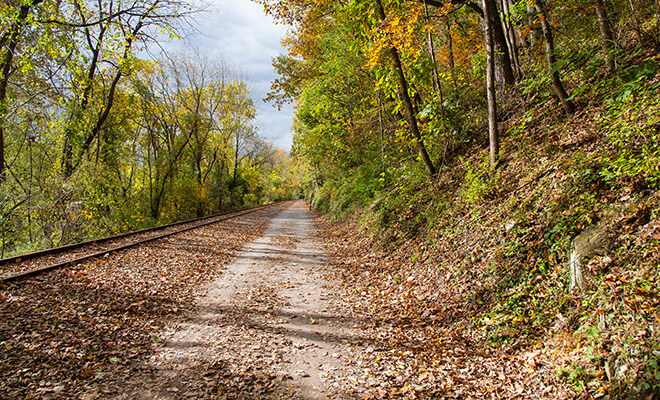 Autumn Landscape Lightroom Preset