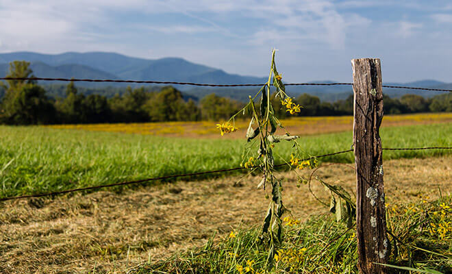 Vibrant Landscape Lightroom Preset