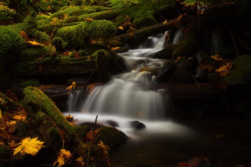 Luke Detwiler - Dry Creek Color