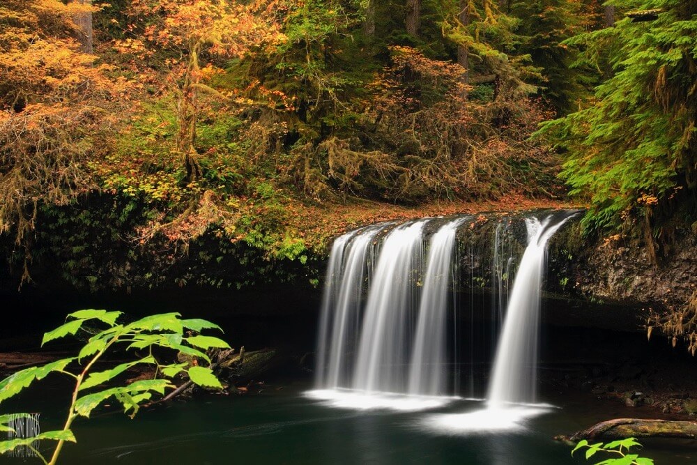 Ian Sane - Upper Butte Creek Falls