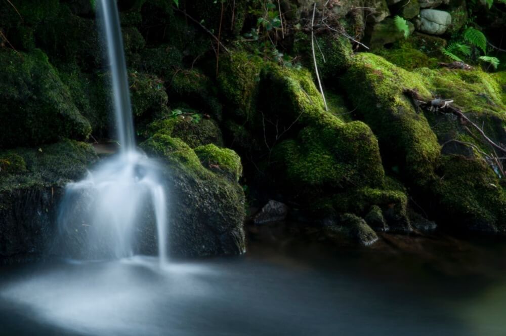 José Antonio Cartelle - Green and water