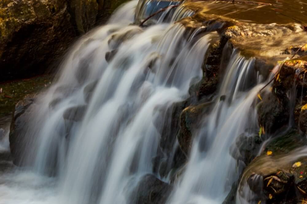 Greg David - Autumn falls at Edwards Gardens