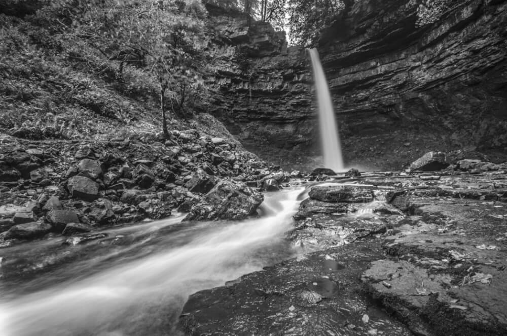 Ben - Hardraw Force