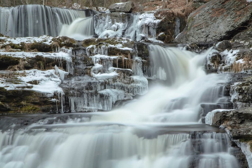 William Doyle - Childs State Forest