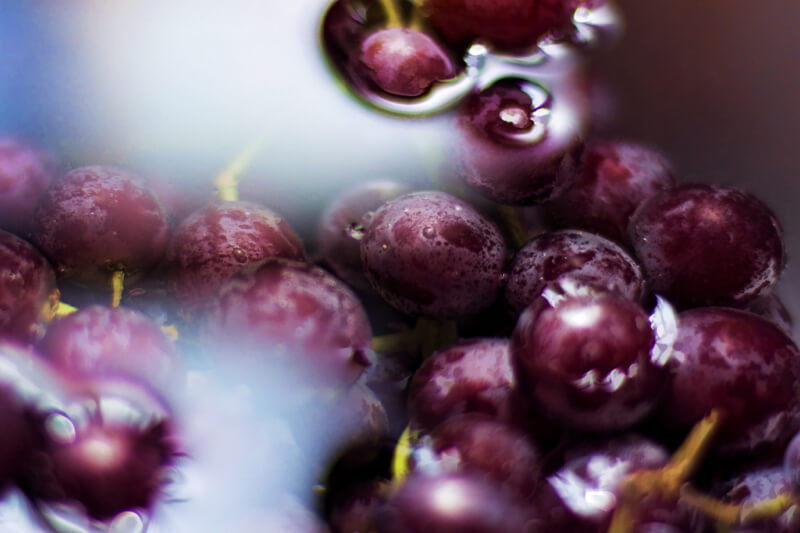 still life photography grapes in water