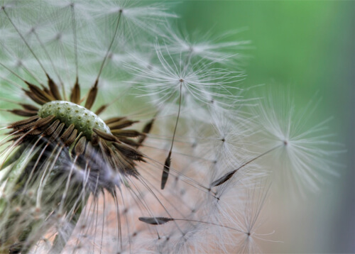 wind-photography