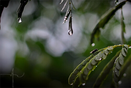 wind-photography