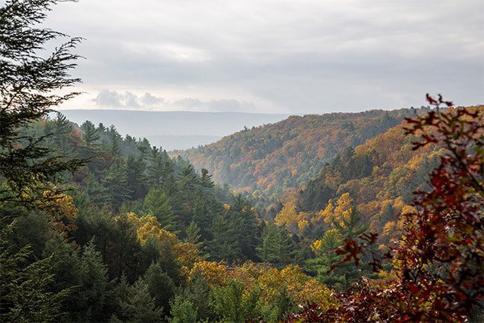 How to Boost Autumn Colors in Lightroom