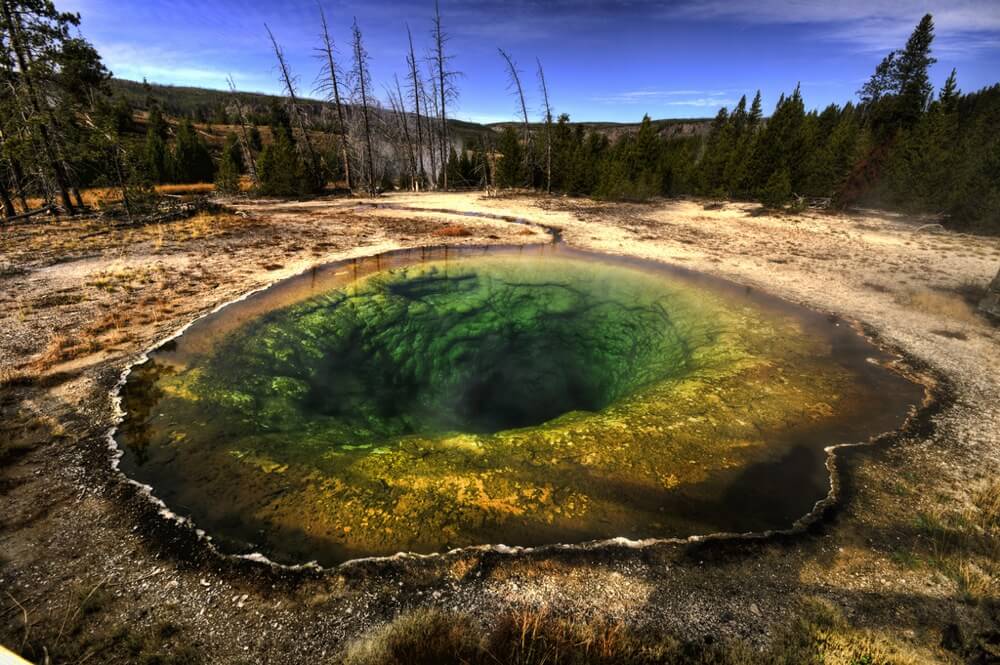 yellowstone national park