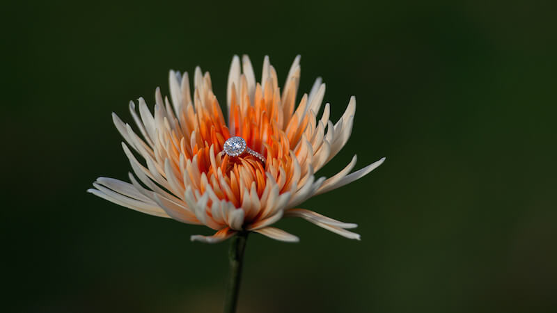 engagement ring