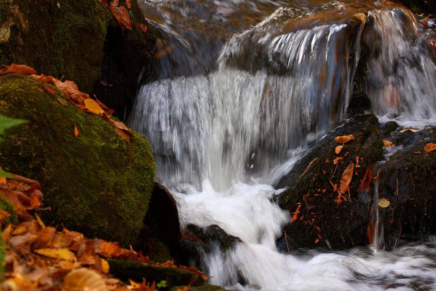 Martin Cathrae - Autumn Waterfall