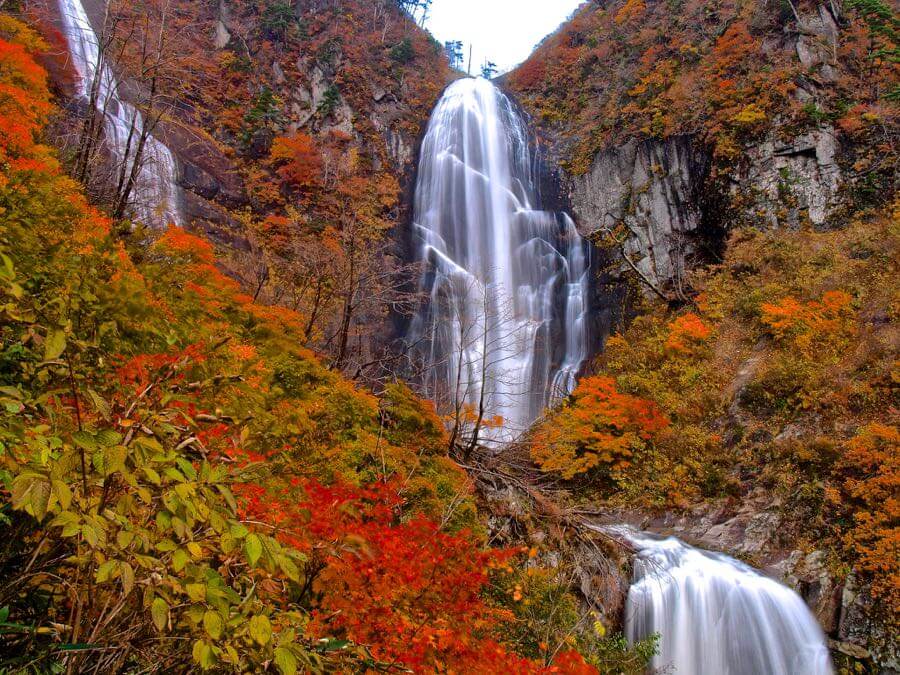 Syuzo Tsushima - autumn falls