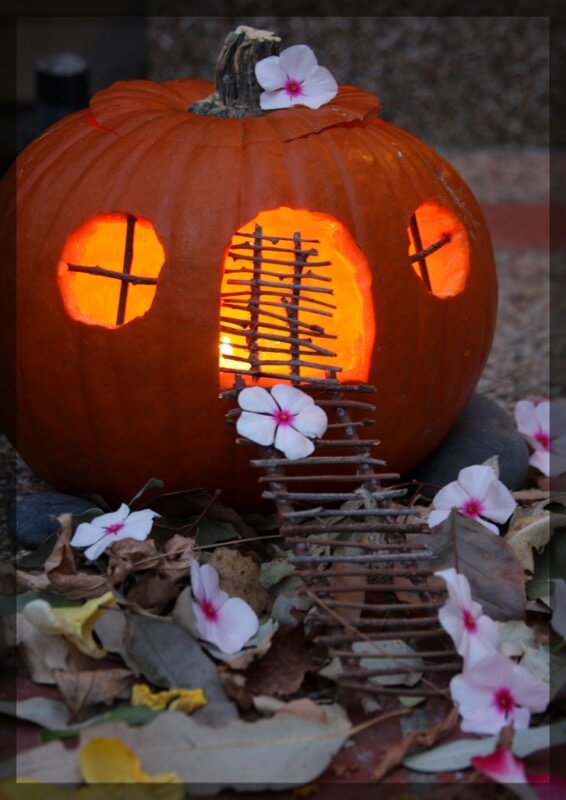 Anissa Wood - Fairy Pumpkin House