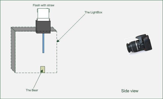 tinyspotlight2