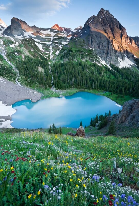 Blue Lakes Flowers - Grant Ordelheide