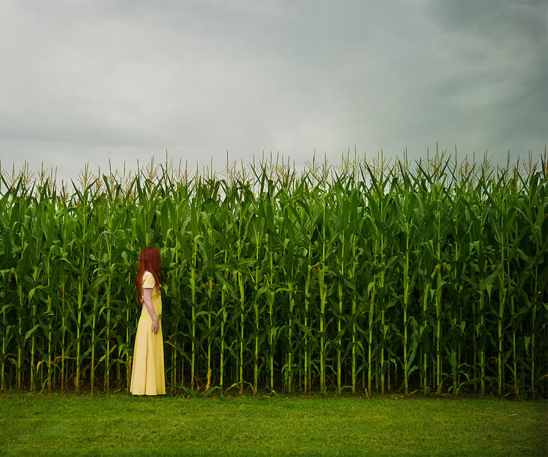 Patty Maher portrait