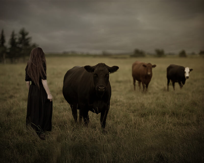 Patty Maher portrait