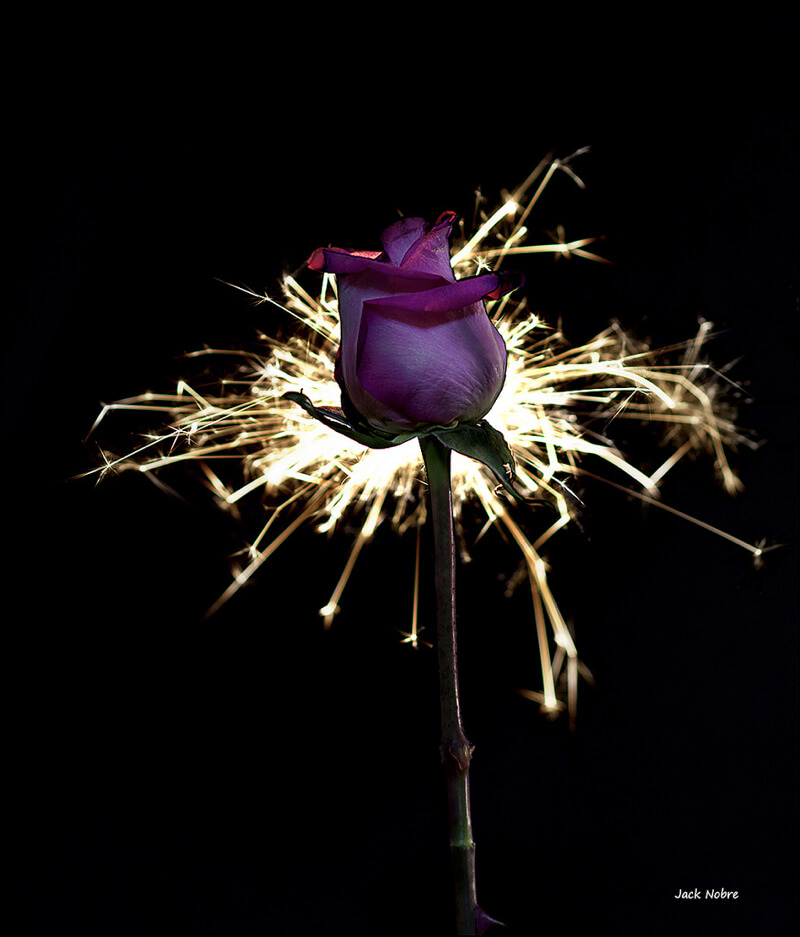 Jack Nobre — rose with sparks