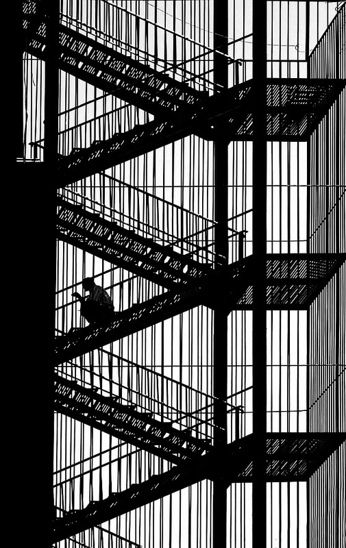 black and white stairwell