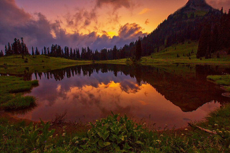 Tipsoo Lake Mt Rainier National Park