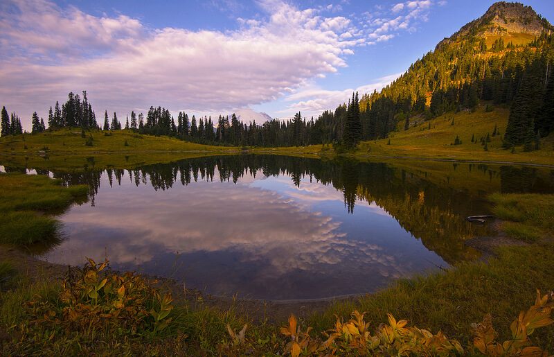 Tipsoo Lake in the Morning, Mt Rainier NP