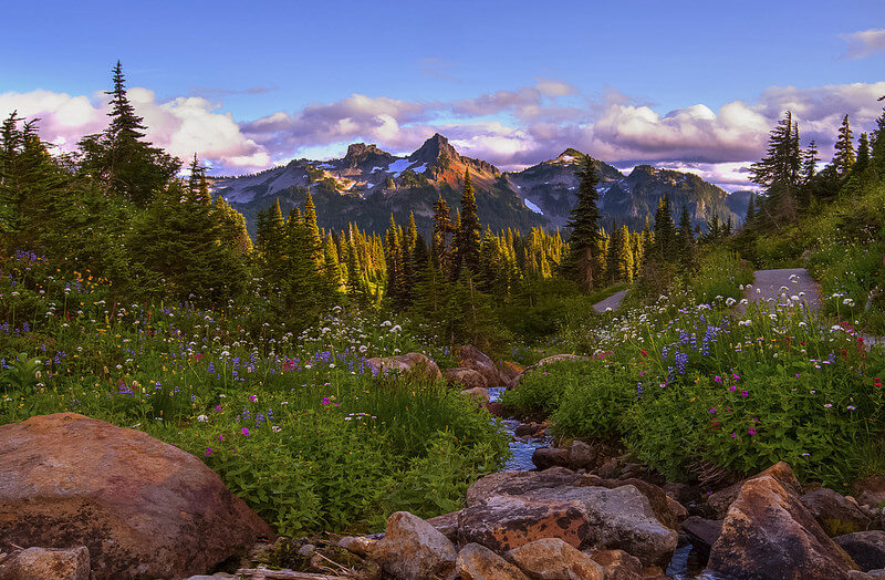 Deadhorse Creek Trail, Mt Rainier NP