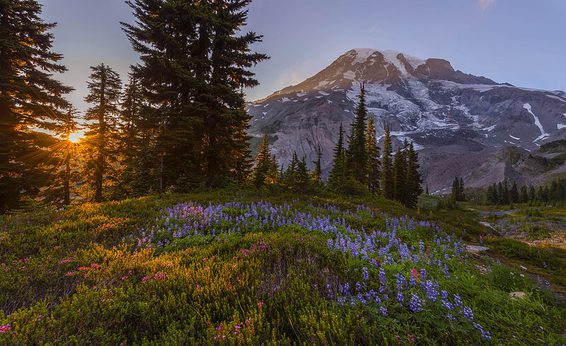 Mt Rainier at Sunset