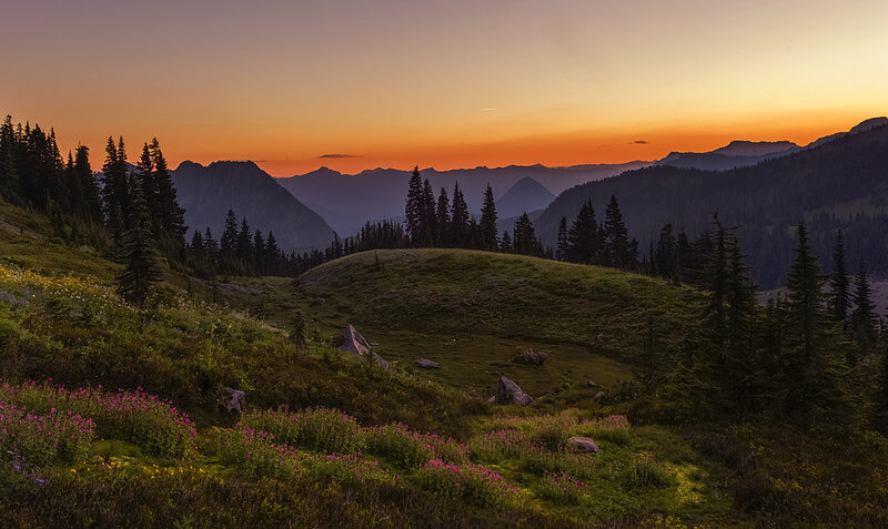 Mt Rainier Park at Sunset