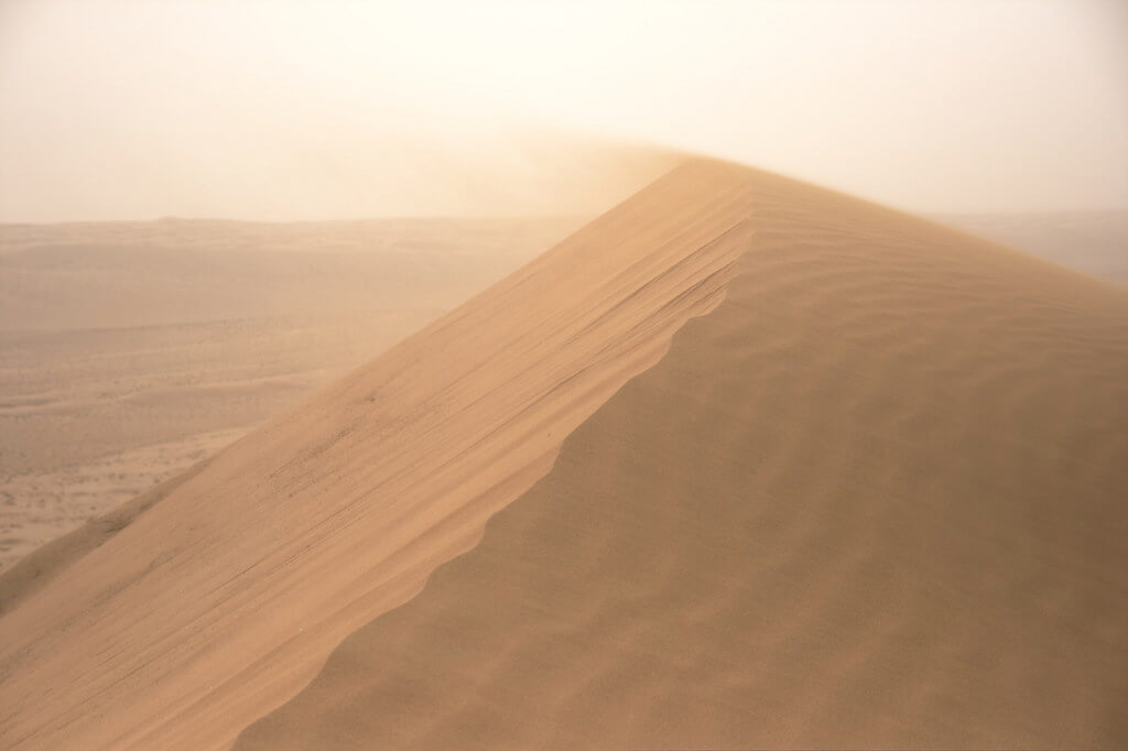 Nicolas Rénac - Dune with the wind