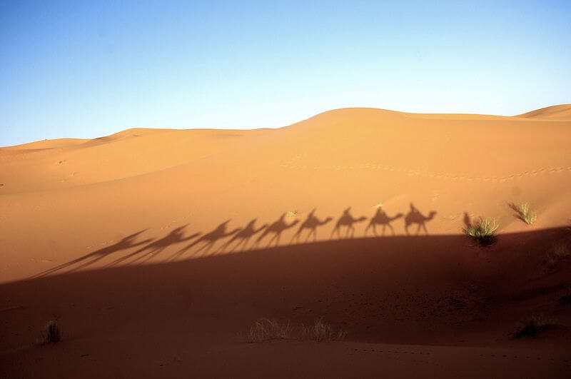 Merzouga desert, Morocco