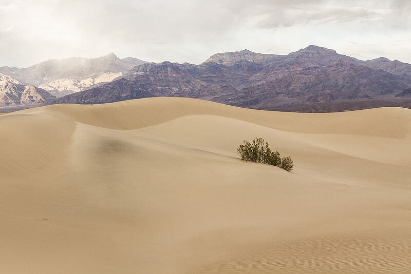 Dzung Tran Death Valley - Mesquite Sand Dunes