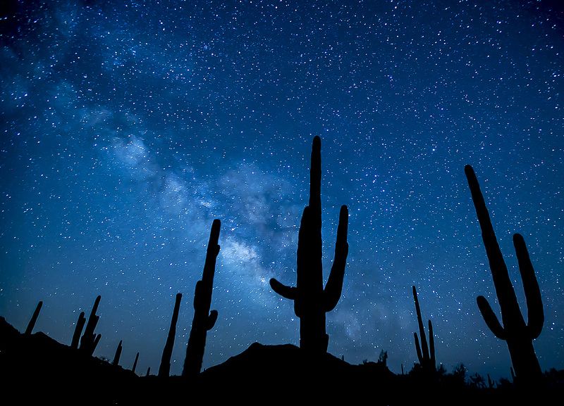 Sonoran Desert National Monument