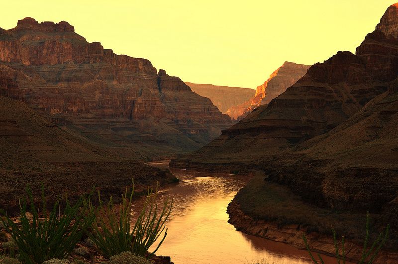 Grand Canyon