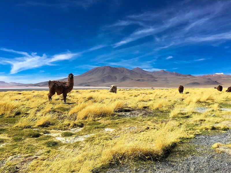 Salar de Uyuni