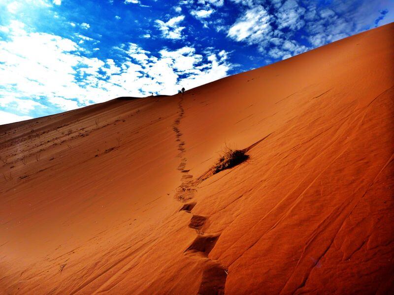 Namib desert dune