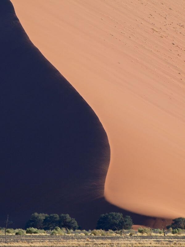 Gustavo Jeronimo namib desert dune