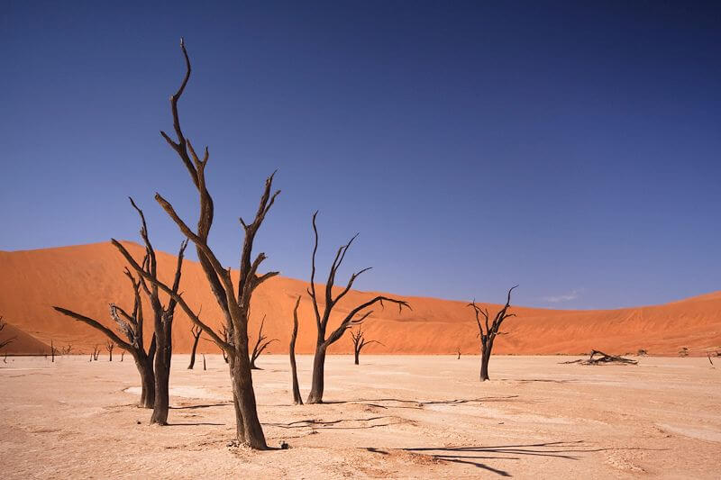 Deadvlei namib desert