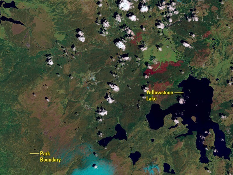 Yellowstone fire recovery after