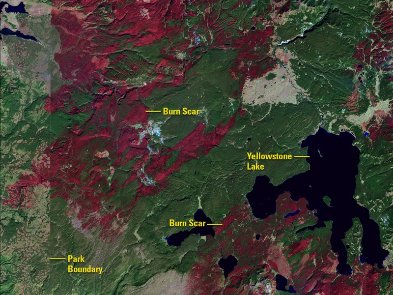 Yellowstone fire recovery before