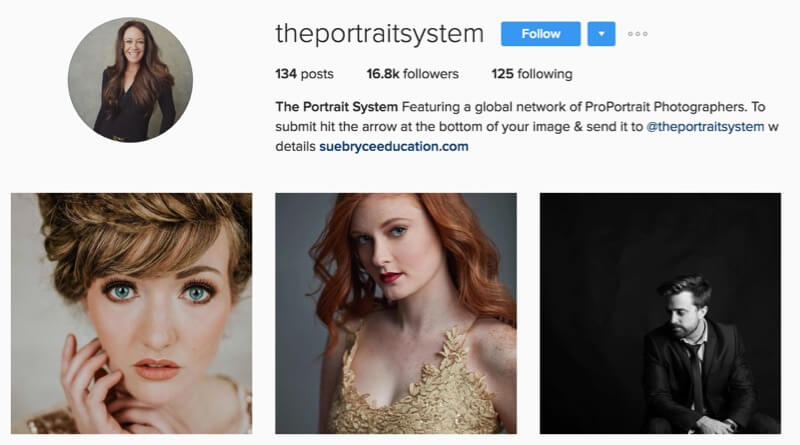 The Portrait System